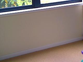 Infrared Image of Wall Leak (9)